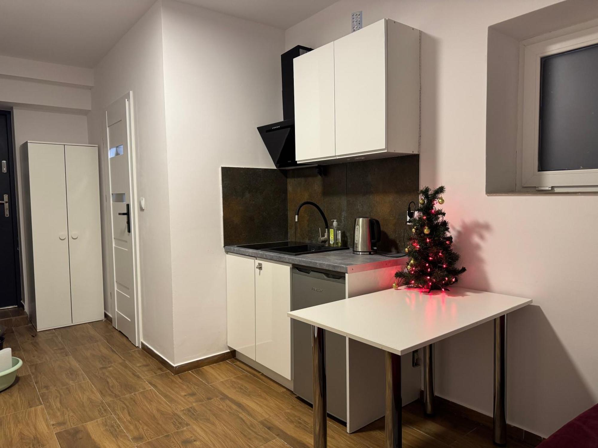 Apartment Miniapartamenty Ibisa